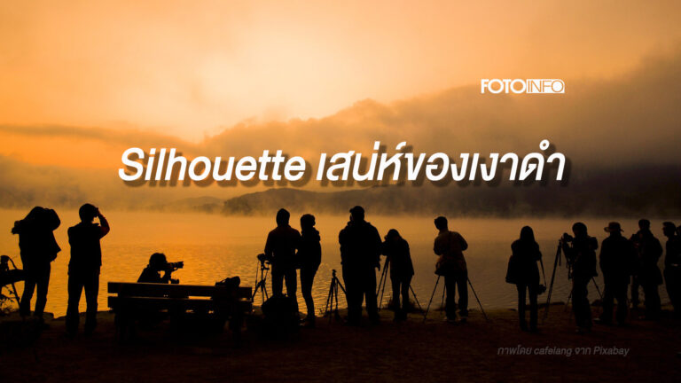 Silhouette เสน่ห์ของเงาดำ