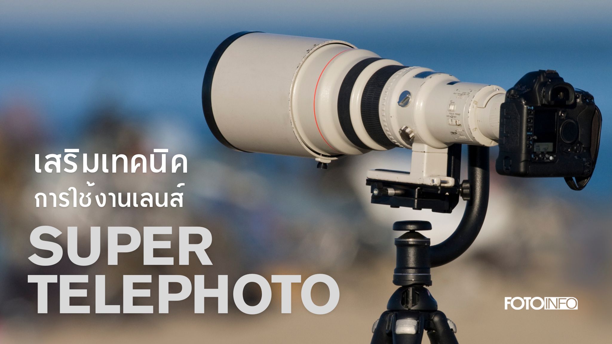 Techique Lens Technique for Better Long Lens Photography ปลดปล่อยพลังแห่งการซูม ...