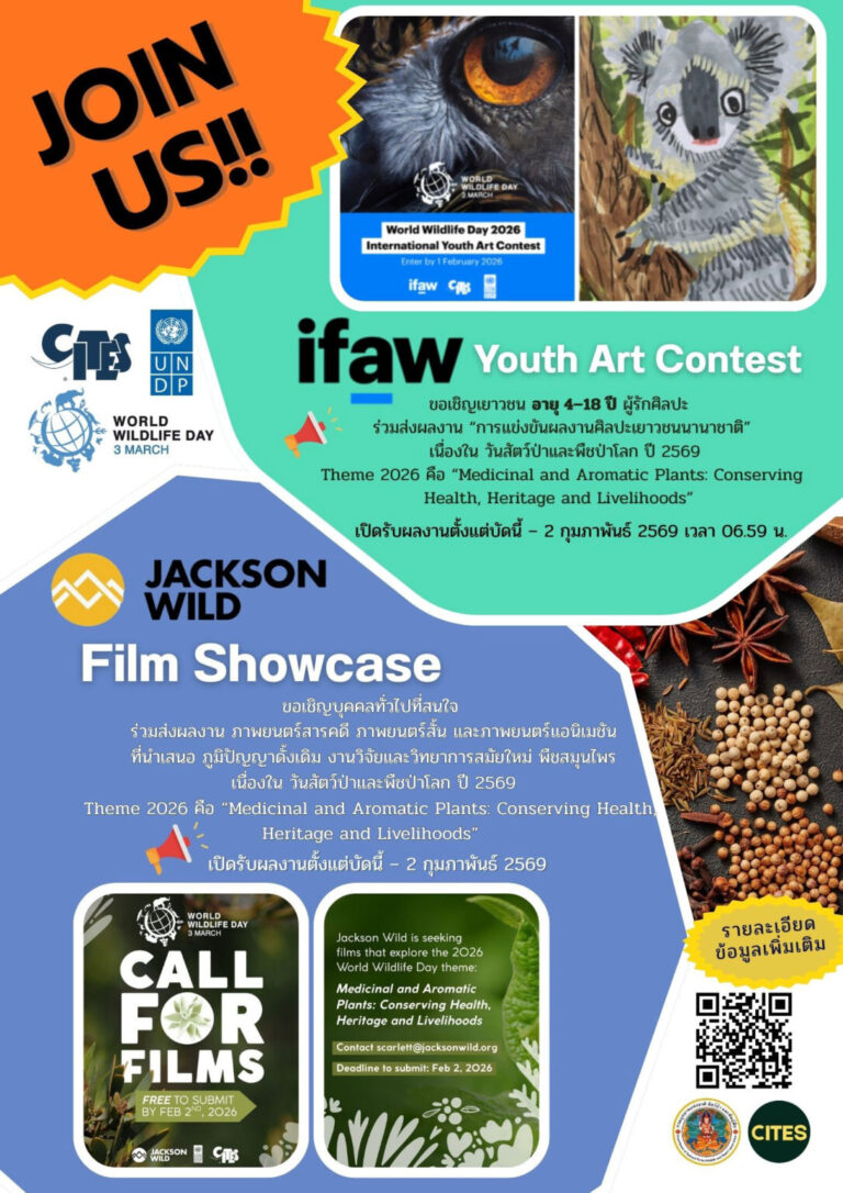 ประกวดภาพยนตร์เนื่องในวันสัตว์ป่าโลก ปี พ.ศ. 2569
