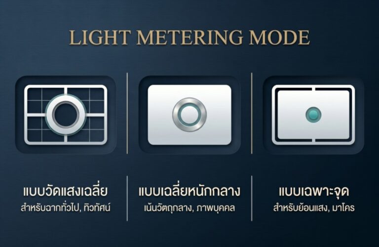 เจาะลึกระบบวัดแสงกล้อง (Light Metering Mode) ถ่ายภาพสวยเป๊ะดั่งใจ ไม่ง้อ AI