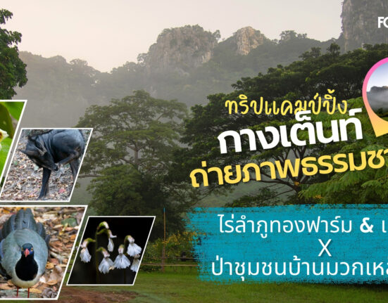 แคมป์ปิ้งกางเต็นท์และถ่ายภาพธรมชาติที่ป่าชุมชนบ้านมวกเหล็กในและไร่ลำภูทอง ฟาร์ม&แคมป์