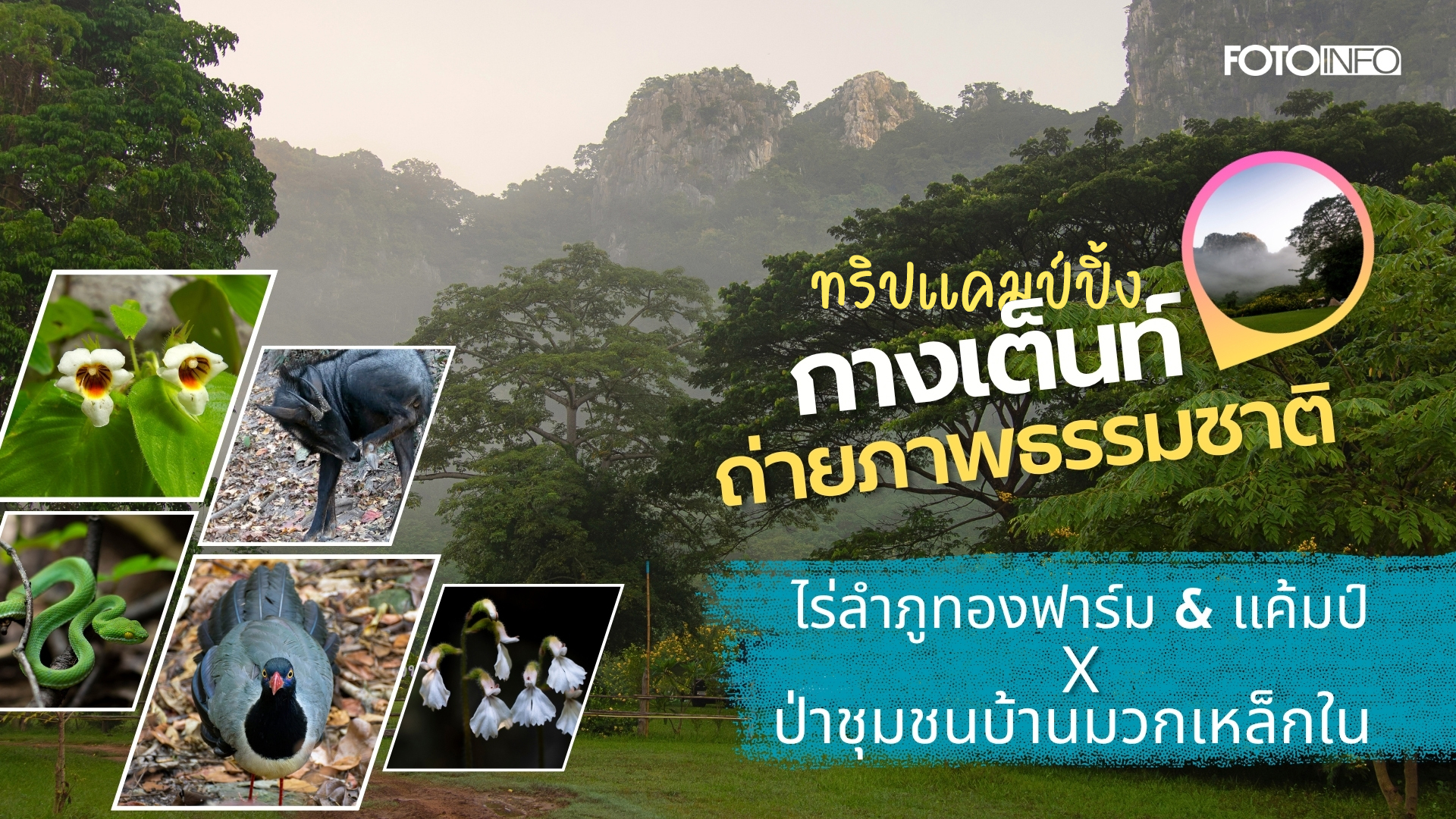 แคมป์ปิ้งกางเต็นท์และถ่ายภาพธรมชาติที่ป่าชุมชนบ้านมวกเหล็กในและไร่ลำภูทอง ฟาร์ม&แคมป์