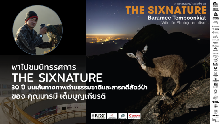Baramee Temboonkiat Wildlife Photojournalist & Nature Documentary Filmmaker 30 ปีบนเส้นทางภาพถ่ายธรรมชาติและสารคดีสัตว์ป่า